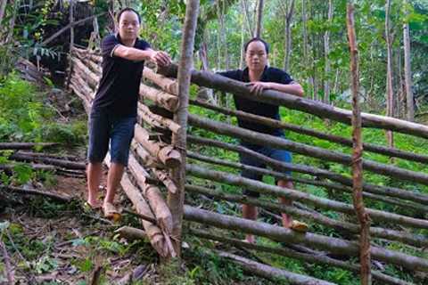 Duong fence around to make pig barn, project to raise wild boar in a natural way | Primitive Skills
