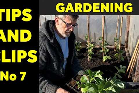 Tips and Clips | Garden Hacks | Useful Tips | Number 7 | Green Side Up