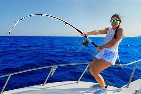 UNEXPECTED Catch while Deep Sea Fishing! Catch, Clean, Cook!