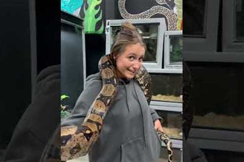 LOOKING FOR EXOTIC PETS @ChandlersWildLife