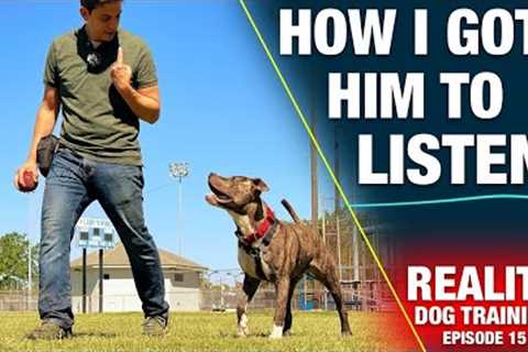 How to Train the MOST IMPORTANT Thing to Any Dog [REALITY DOG TRAINING EP: 15]