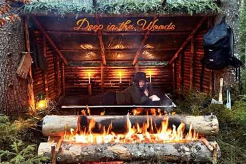 Build Alfresco Shelter with Long log fire | Bushcraft overnight trip alone | Survival skills | ASMR