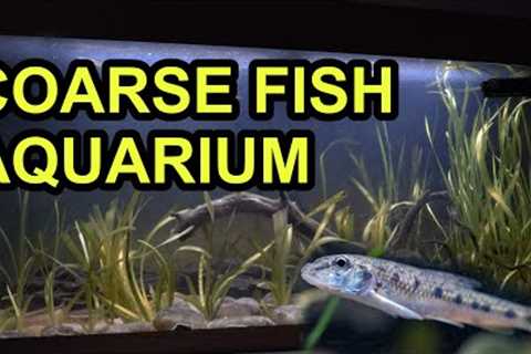 Creating a Coarse Fish Aquarium