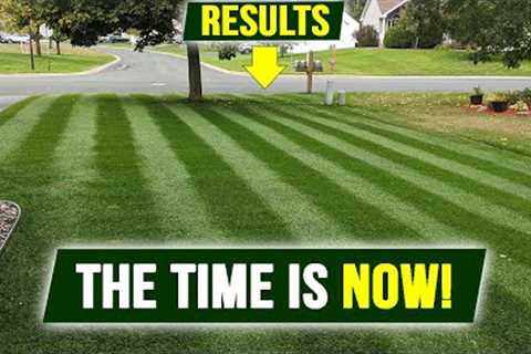 Fall Nitrogen Plan with RESULTS!! 99% Do NOT Do This but THEY SHOULD!