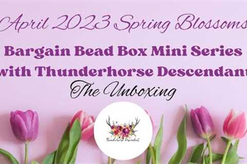 Unboxing: April 2023 Bargain Bead Box Mini Series with Thunderhorse Descendant
