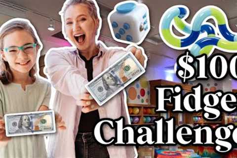 $100 Fidget Toy Shopping Challenge | Subscriber vs Sierra Showdown Ep. 5