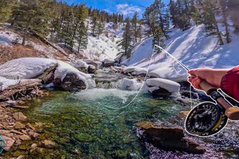 Fly Fishing a Snow Covered Canyon for Trout! (HFA West Returns)