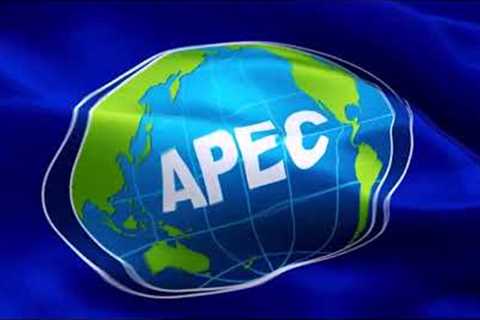 What is the APEC Business Travel Card