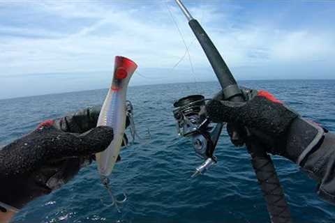 Epic Day Offshore Fishing With Topwater and Trolling