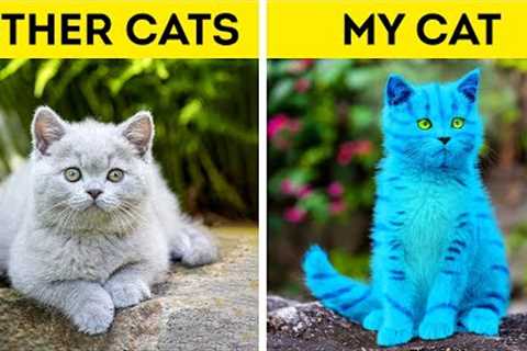 GENIUS GADGETS AND HACKS FOR YOUR LOVELY PETS