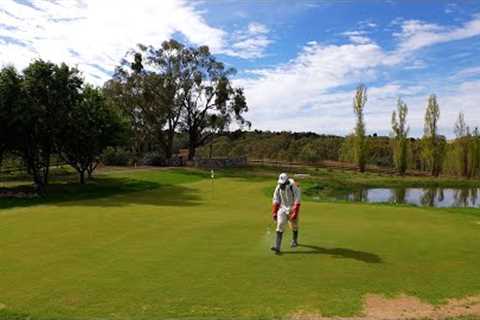 Damage To My Golf Green Already?! Here’s How I'm Fixing it…