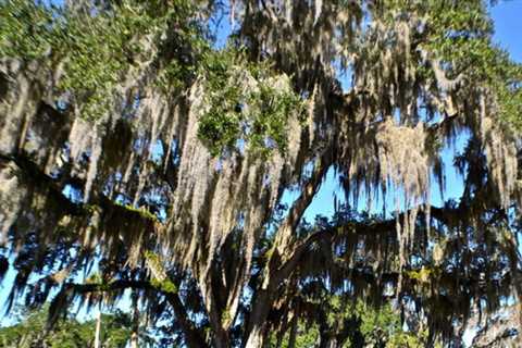 Kings Bay Lodge in Crystal River, Florida