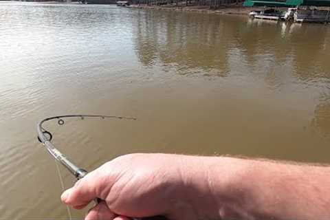 INCREDIBLE Fishing on Lake Oconee This Was AMAZING Part 2