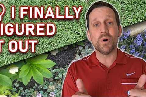 I Know EXACTLY When My Lawn Care Season STARTS in Spring // No More Stressing &amp; No More Guessing