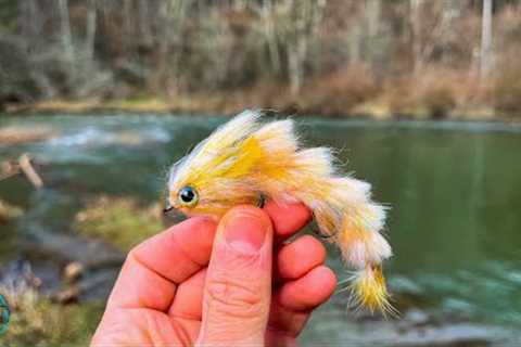 Streamer Fishing for Brown Trout! (Pennsylvania Fly Fishing)
