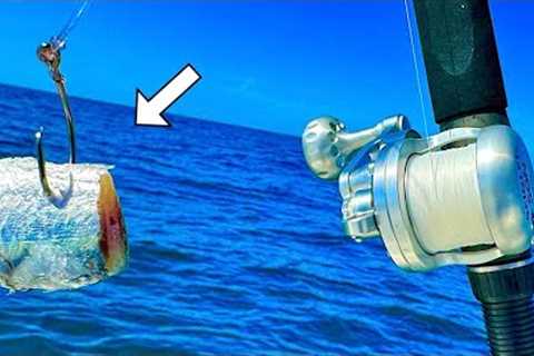 Reef Fishing with CUTBAIT in the Gulf of Mexico! [Multiple Species]