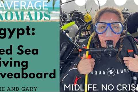 Red Sea Diving Liveaboard. What it's REALLY like on a scuba cruise.