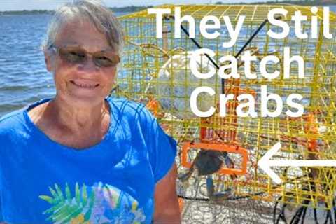 Testing Our BLUE CRAB Traps [ Pots] Catch and Cook