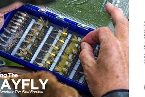 Dry Fly Fishing: The Famous Mayfly Hatch With Paul Procter