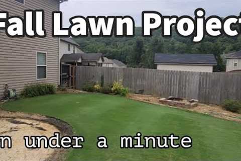 Fall Lawncare Plan // in under a minute