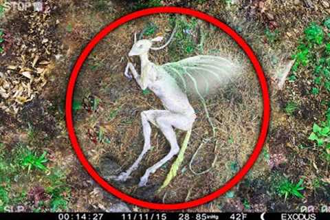 What This Trail Cam Recorded, Shocked The Whole World (2023)