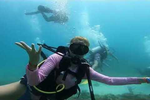Scuba Diving Trip Spring Break 2023
