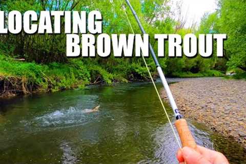 Understanding &amp; Locating Brown Trout in a Stream &amp; How to Catch Them - POV