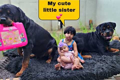 Cute babies playing with dogs | rottweiler dog | dog and baby | #funnyvideo #dog