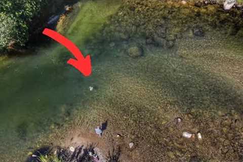 EPIC Day FLY FISHING in PARADISE!! [Streamer/Dry Fly and Nymph Fishing] 4K