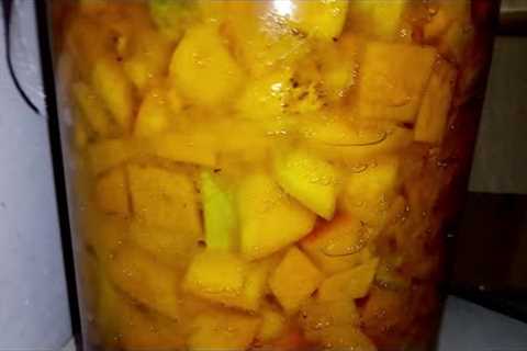 Mango Fermented Fruit Juice