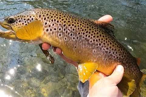 HAPPY EASTER!, Fly Fishing Beautiful Bushkill Creek, A CONFIDENCE BOOSTER DAY!!