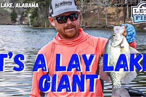 CRAPPIE FISHING AT IT’S FINEST! #6-2023 SouthWEST