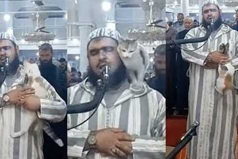 For the love of cat: Imam and cat video goes viral on social media