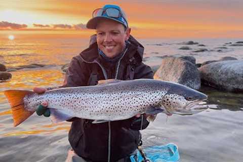 The Fly for When the Big Sea Trout is in to feed - Catch &amp; Tie