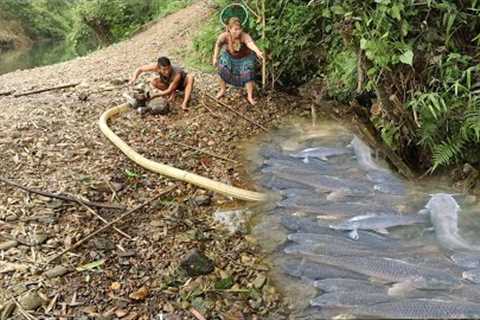 Survival Skills In Primitive Life. Catch Many Big Fish By The Shallow Water With Pump
