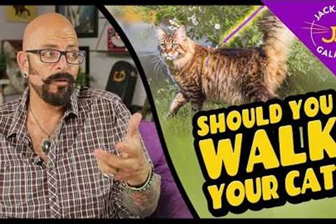 Should You Walk Your Cat?