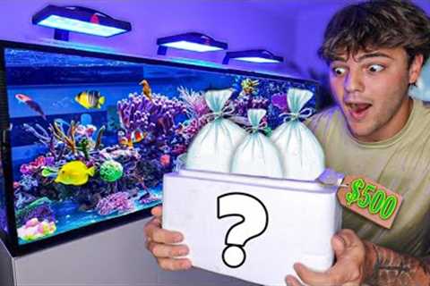 BUYING Most COLORFUL FISH for My SALTWATER AQUARIUM!!