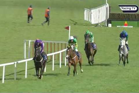 Drama as Janidil falls with race at his mercy - Racing TV