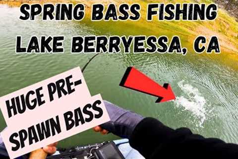 Spring Bass Fishing | Lake Berryessa ** A LOT OF ACTION**