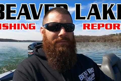 Beaver Lake Fishing Report March 2023