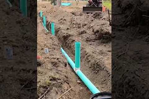 We love to fix yard drainage problems #shorts