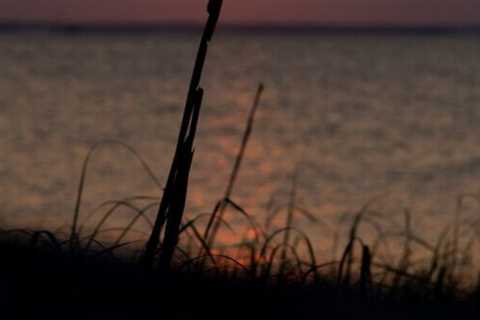 9 Must-Do Activities for a First Visit to The Outer Banks