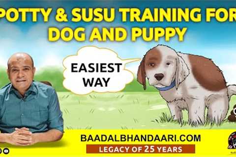 How to Potty &amp; Susu (Pee) Training Puppy or Adult Dog at Home | Indoor or Outdoor | Baadal..