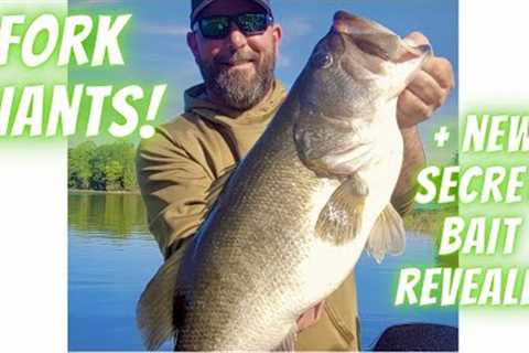Lake Fork Giants! The Best Topwater Ever For Giants Bass, 99% of anglers Don't Know This Exist!