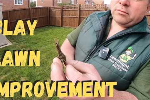 Clay Soil Lawn Improvements - Gypsum &amp; Compost