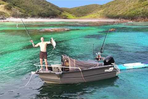 SOLO Camping Fishing &amp; Spearfishing a Tropical Island Group (Toxic Fish? Catch &amp; Cook)