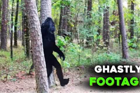 This Trail Cam Footage Leaves Us Speechless...