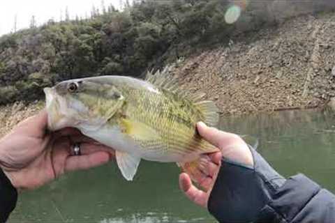 Lake Oroville Bass Fishing: Club Tournament, April 2023