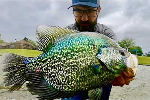 The BIGGEST CRAPPIE in the LAKE!!!