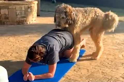 You Cannot Get Enough of These BACKYARD FAILS!!! 🤣🌳 Funny Videos Compilation | AFV 2023
